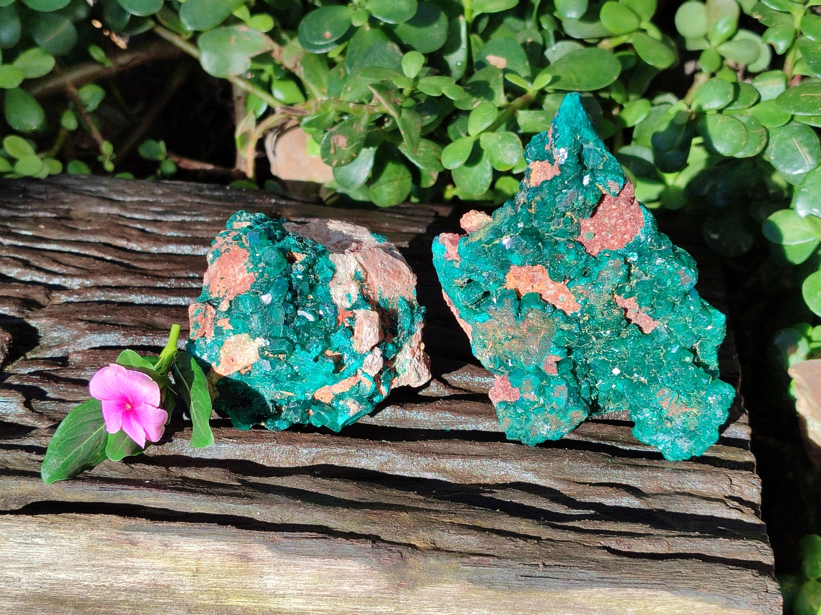 Natural Dioptase On Dolomite Specimens x 2 From Likasi, Congo - Toprock Gemstones and Minerals 