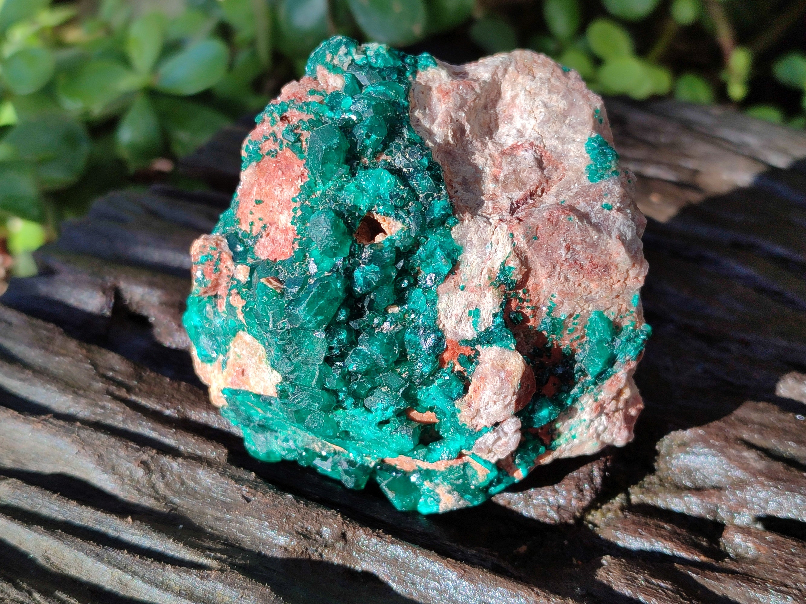 Natural Dioptase On Dolomite Specimens x 2 From Likasi, Congo - Toprock Gemstones and Minerals 