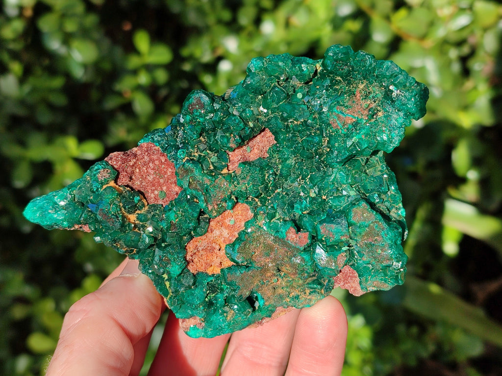 Natural Dioptase On Dolomite Specimens x 2 From Likasi, Congo - Toprock Gemstones and Minerals 