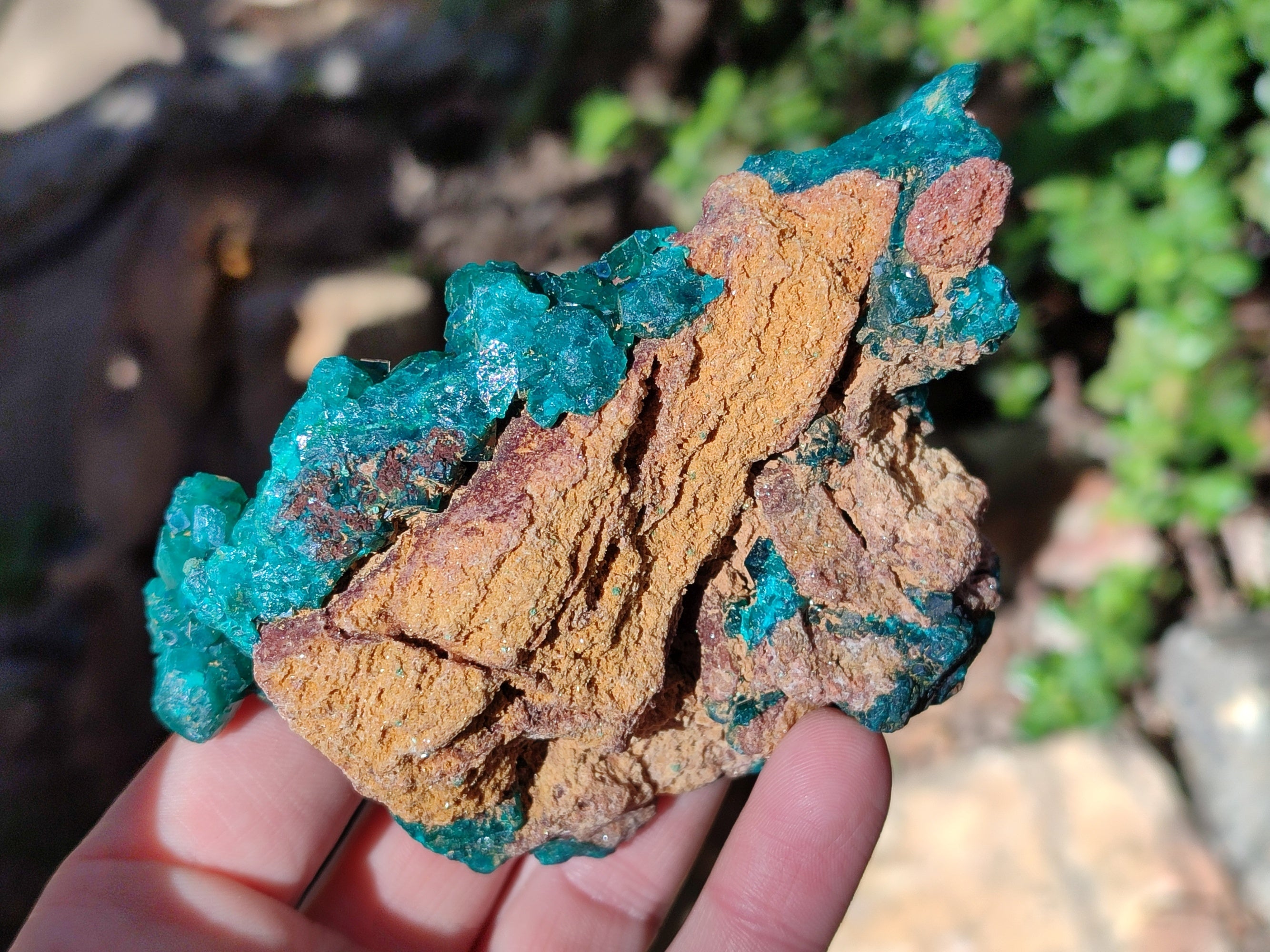 Natural Dioptase On Dolomite Specimens x 2 From Likasi, Congo - Toprock Gemstones and Minerals 