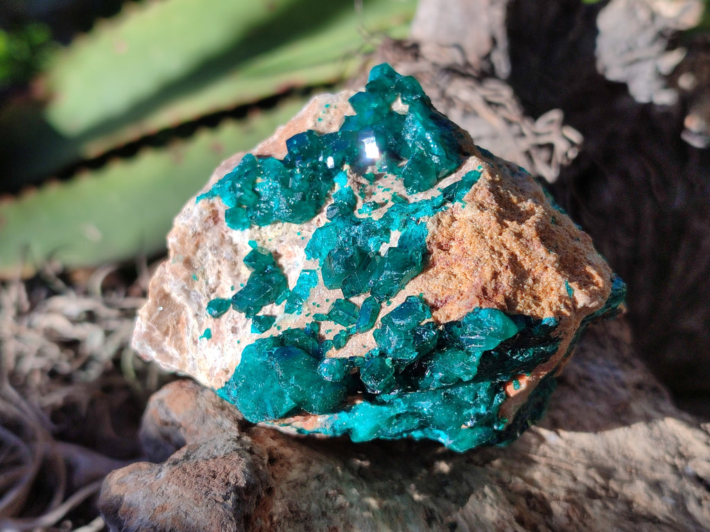 Natural Dioptase On Dolomite Specimens x 2 From Likasi, Congo - Toprock Gemstones and Minerals 