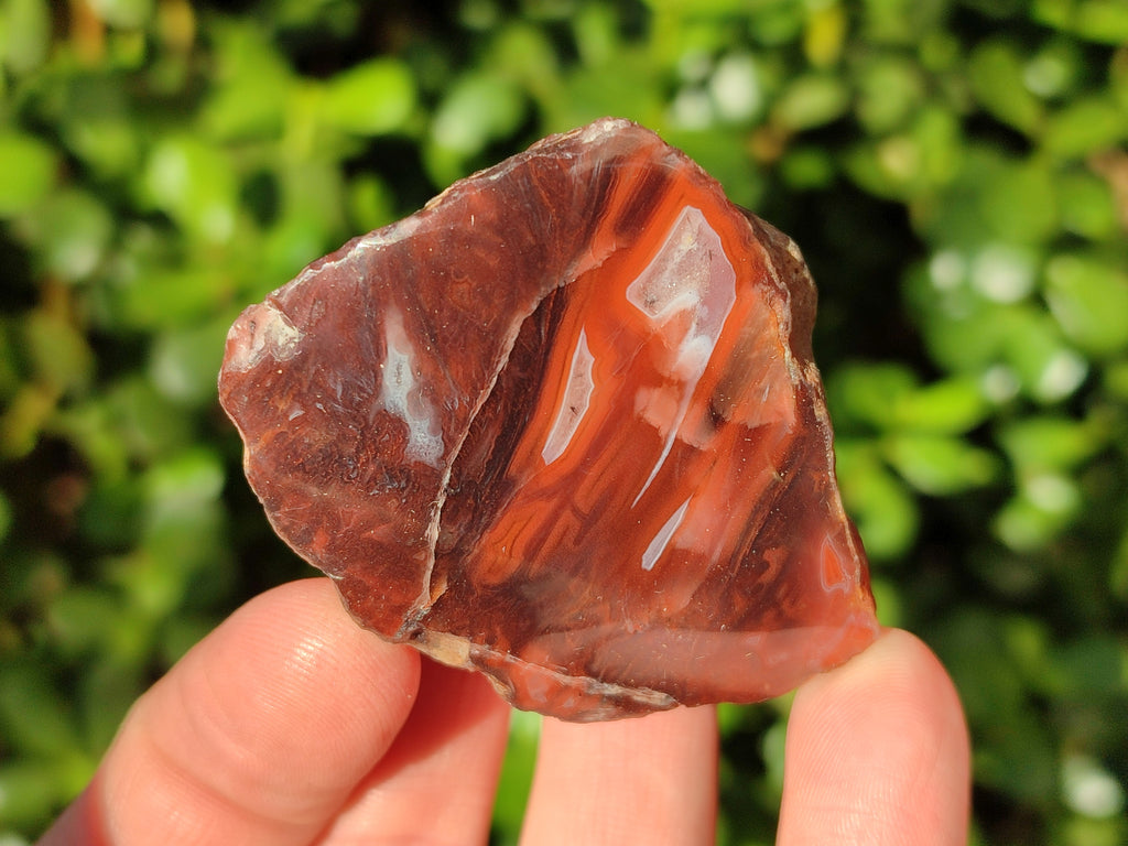 Polished On One Side Red Sashe River Agate Nodules x 12 From Zimbabwe - Toprock Gemstones and Minerals 