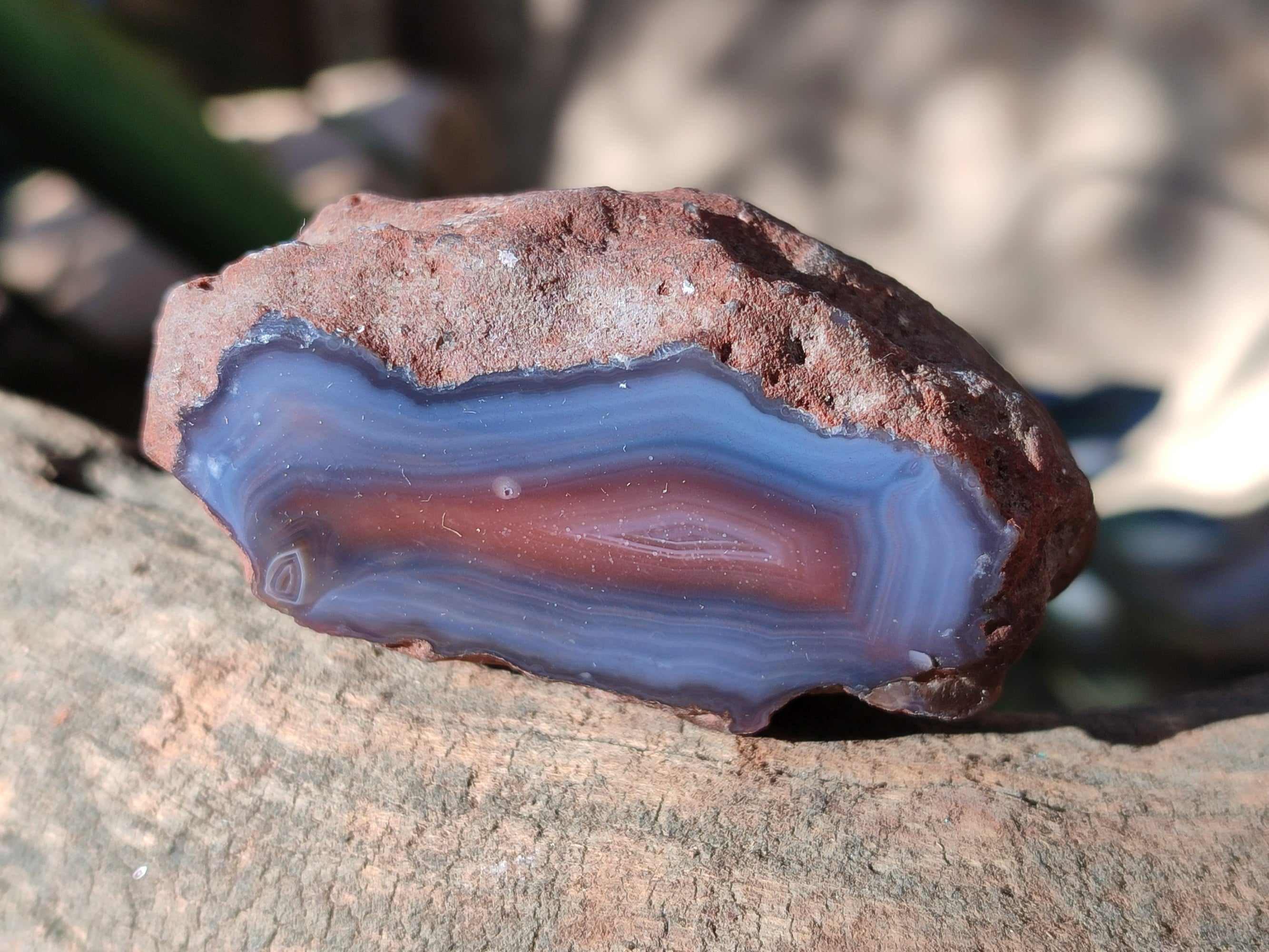 Polished On One Side Red Sashe River Agate Nodules x 12 From Zimbabwe - Toprock Gemstones and Minerals 