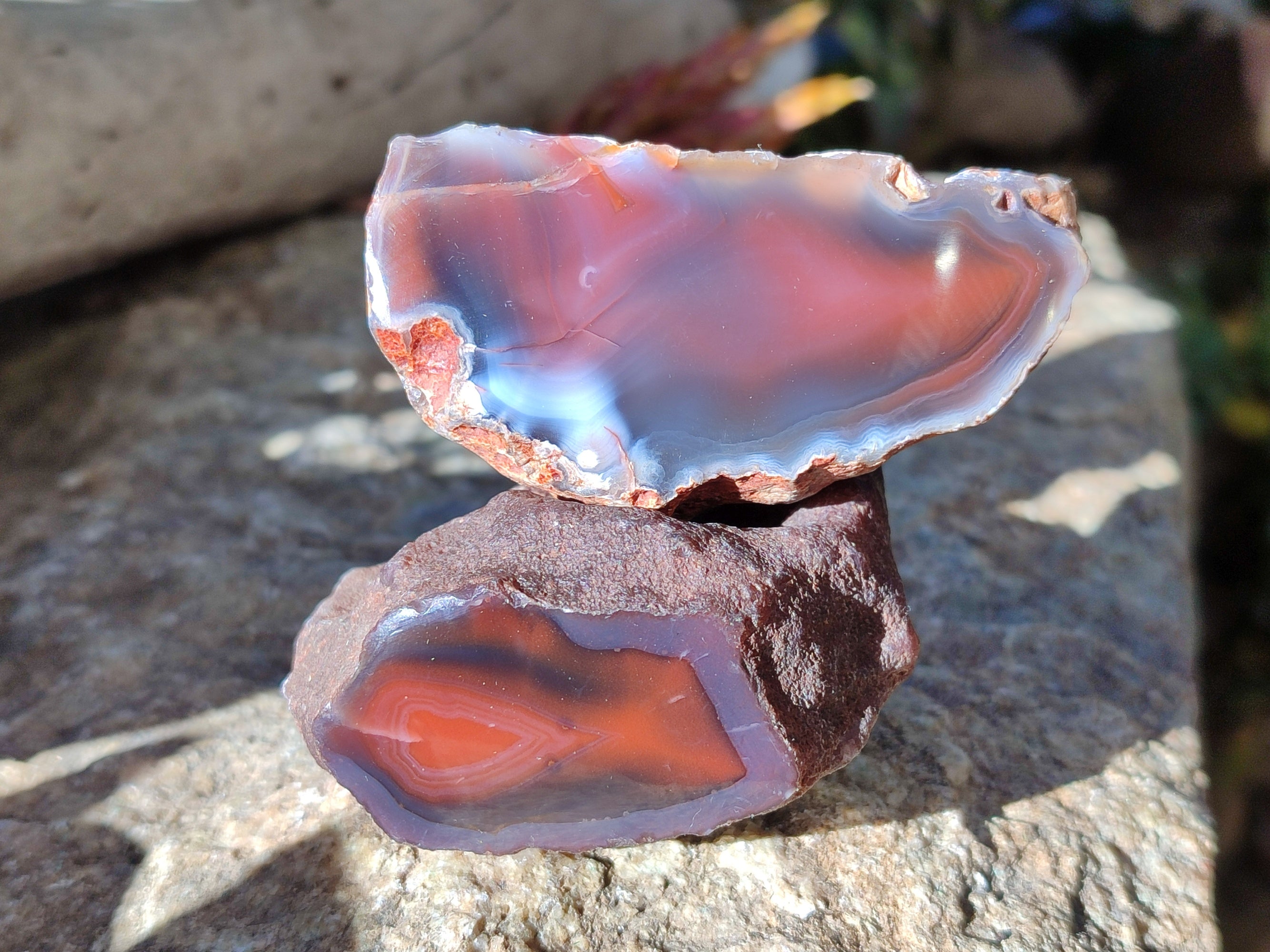Polished On One Side Red Sashe River Agate Nodules x 12 From Zimbabwe - Toprock Gemstones and Minerals 