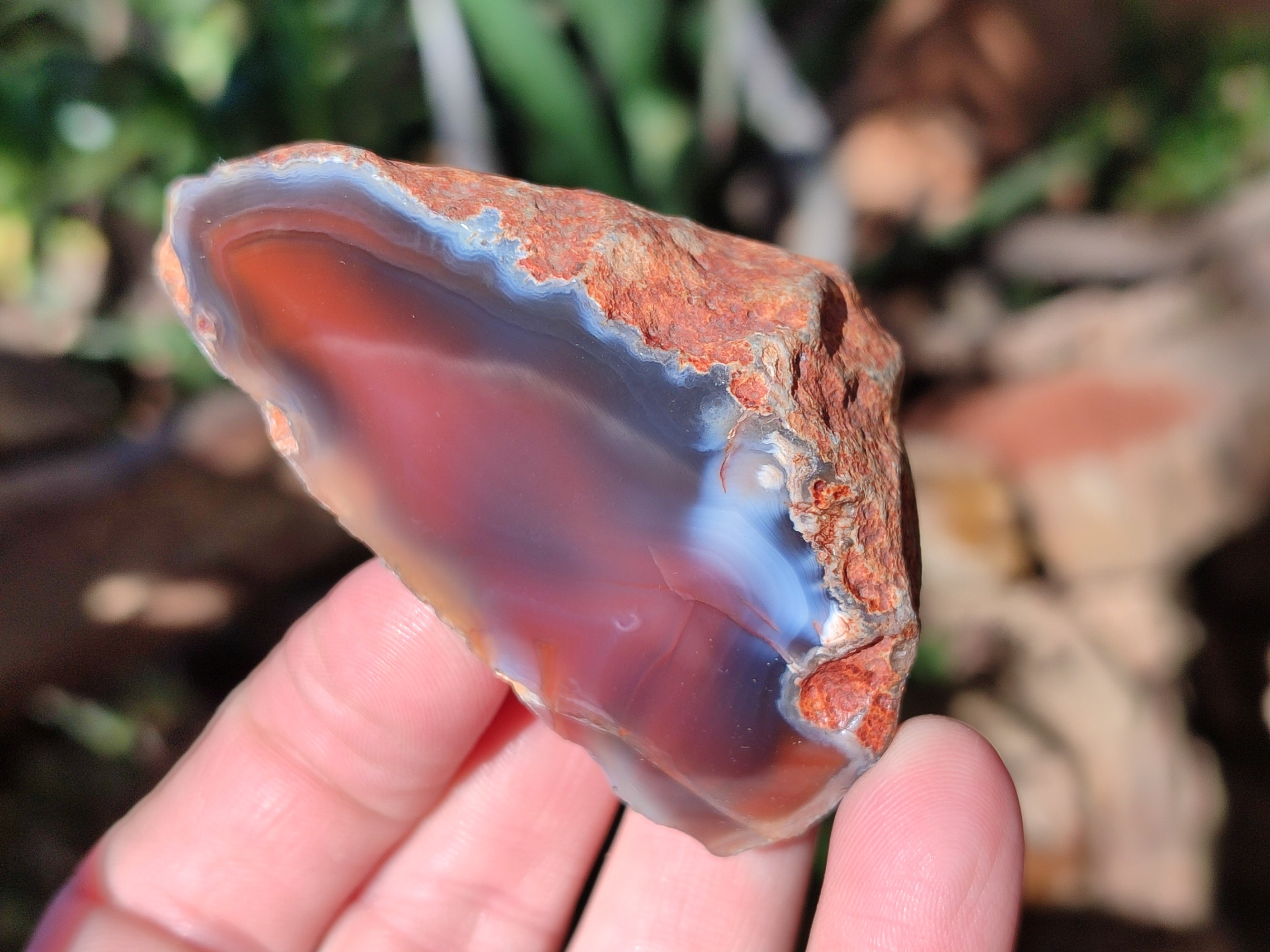 Polished On One Side Red Sashe River Agate Nodules x 12 From Zimbabwe - Toprock Gemstones and Minerals 