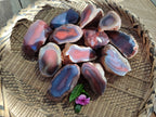 Polished On One Side Red Sashe River Agate Nodules x 12 From Zimbabwe - Toprock Gemstones and Minerals 