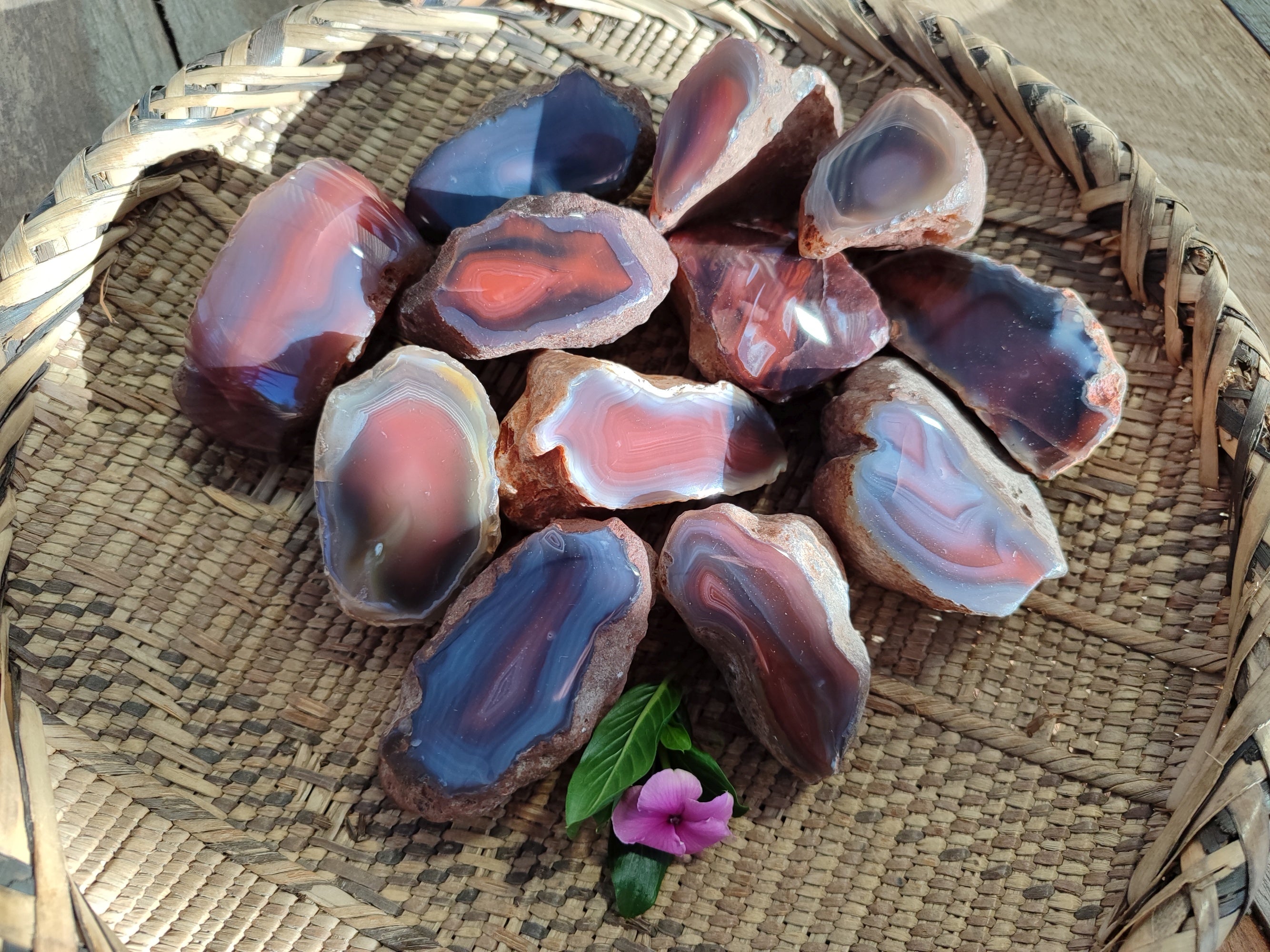 Polished On One Side Red Sashe River Agate Nodules x 12 From Zimbabwe - Toprock Gemstones and Minerals 