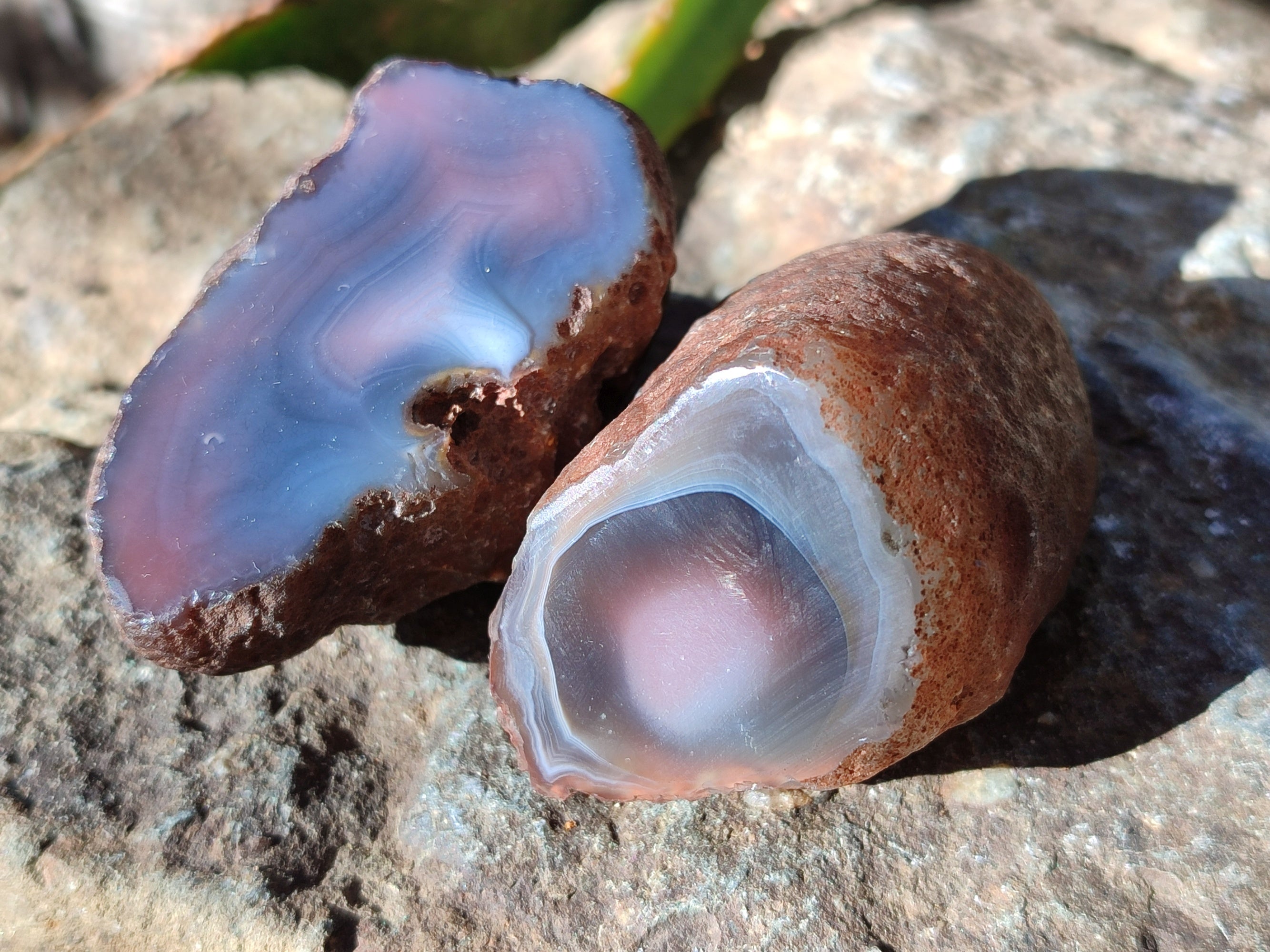 Polished On One Side Red Sashe River Agate Nodules x 12 From Zimbabwe - Toprock Gemstones and Minerals 