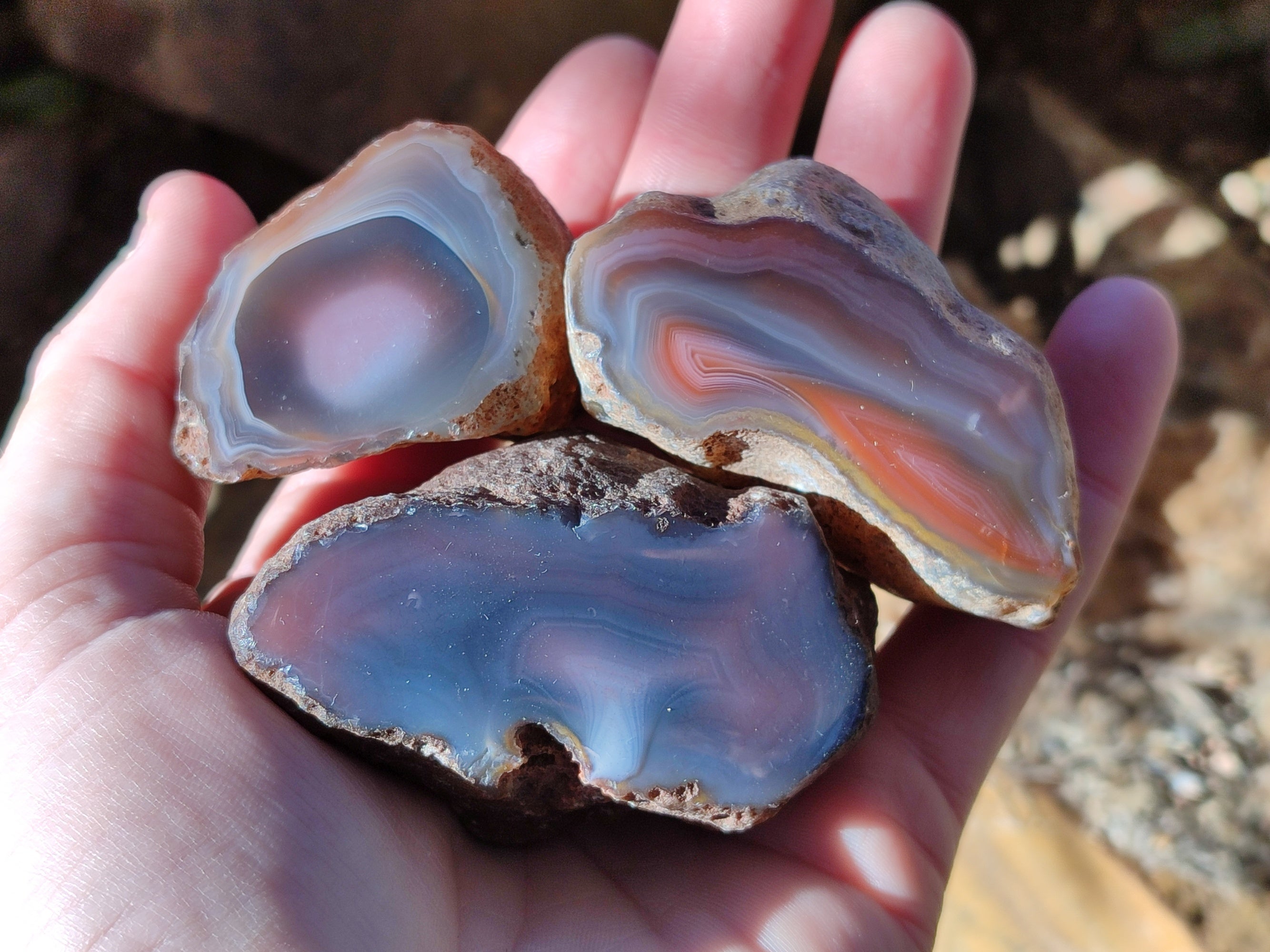 Polished On One Side Red Sashe River Agate Nodules x 12 From Zimbabwe - Toprock Gemstones and Minerals 