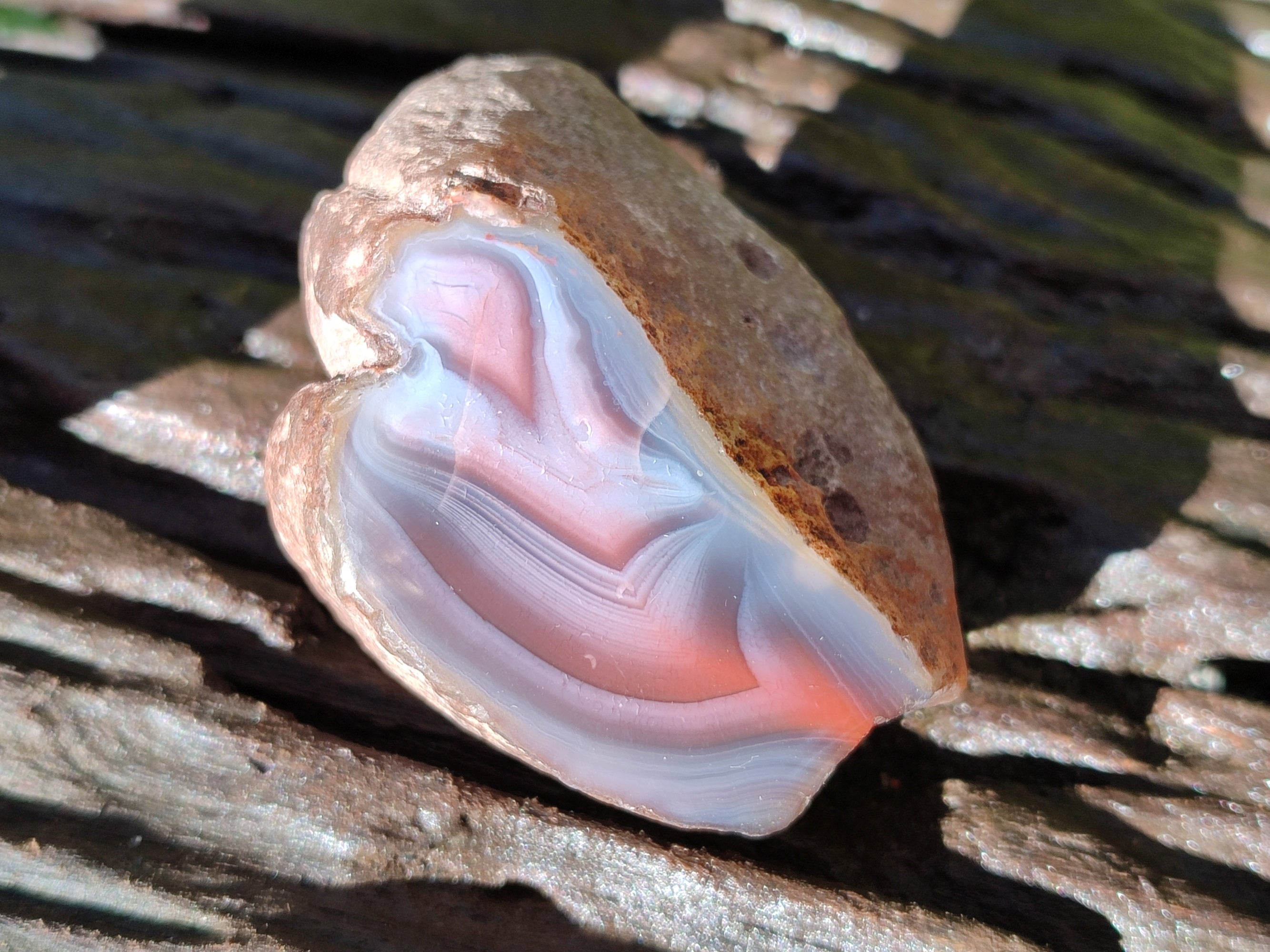 Polished On One Side Red Sashe River Agate Nodules x 12 From Zimbabwe - Toprock Gemstones and Minerals 