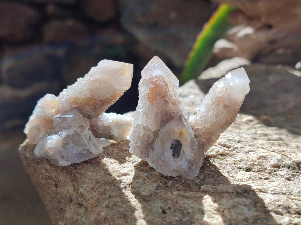 Natural Lemonite Fairy Spirit Quartz Clusters x 35 From Boekenhouthoek, South Africa - Toprock Gemstones and Minerals 