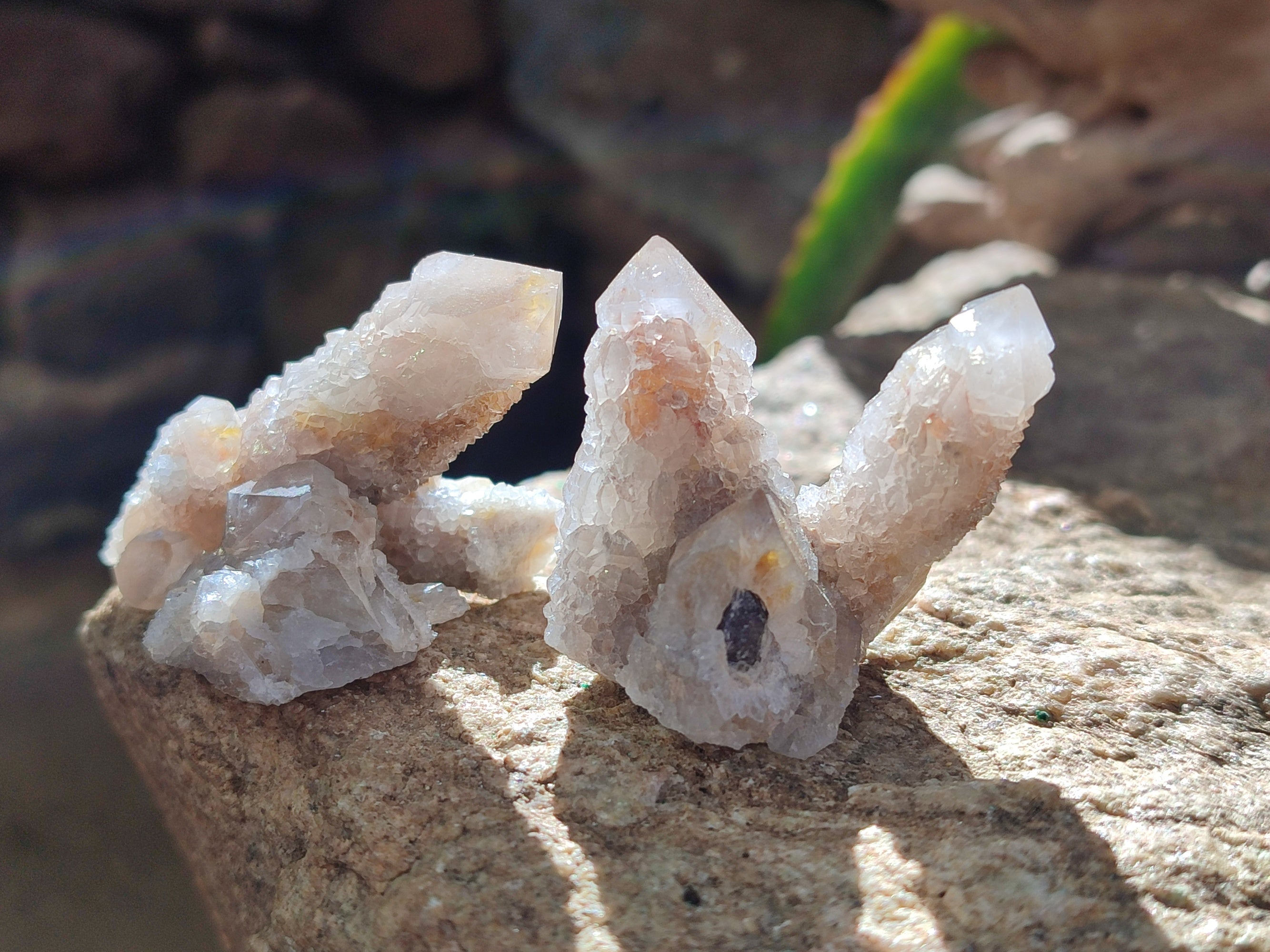 Natural Lemonite Fairy Spirit Quartz Clusters x 35 From Boekenhouthoek, South Africa - Toprock Gemstones and Minerals 