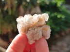 Natural Lemonite Fairy Spirit Quartz Clusters x 35 From Boekenhouthoek, South Africa - Toprock Gemstones and Minerals 