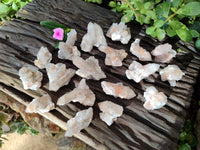 Natural Lemonite Fairy Spirit Quartz Clusters x 35 From Boekenhouthoek, South Africa