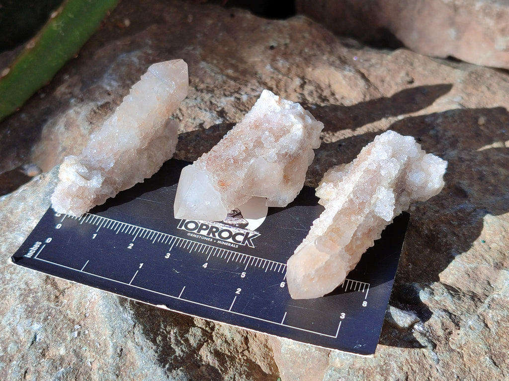Natural Lemonite Fairy Spirit Quartz Clusters x 35 From Boekenhouthoek, South Africa - Toprock Gemstones and Minerals 