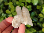 Natural Lemonite Fairy Spirit Quartz Clusters x 35 From Boekenhouthoek, South Africa - Toprock Gemstones and Minerals 