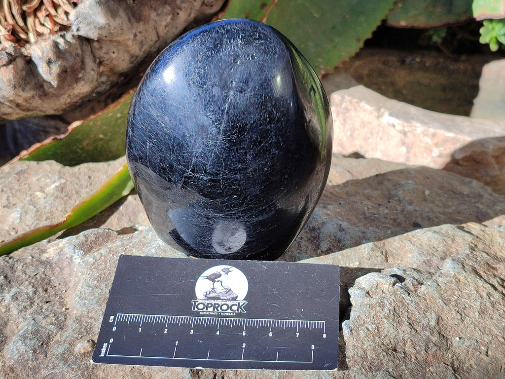 Polished Black Tourmaline Standing Free Form x 2 From Madagascar - Toprock Gemstones and Minerals 