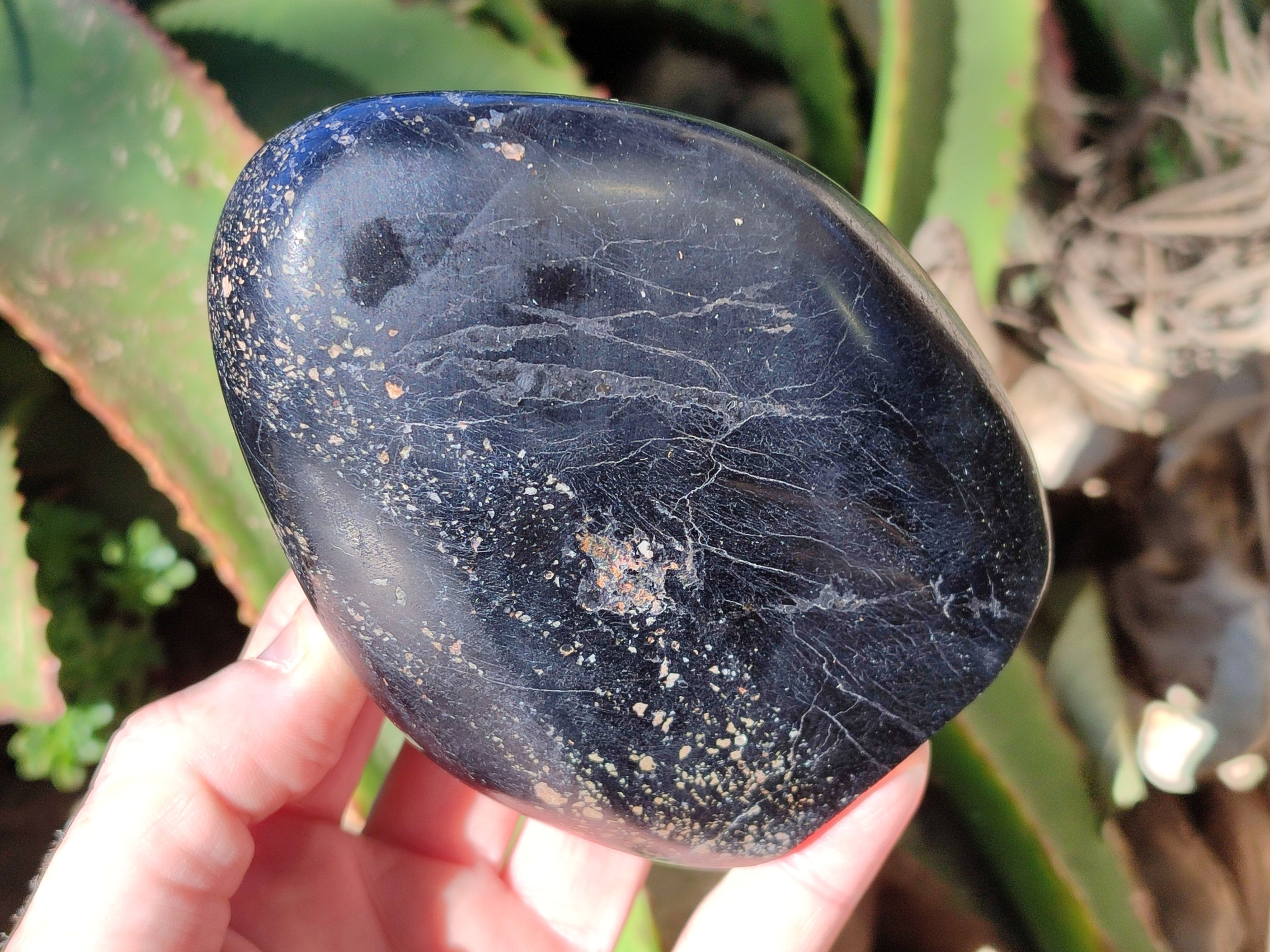 Polished Black Tourmaline Standing Free Form x 2 From Madagascar - Toprock Gemstones and Minerals 