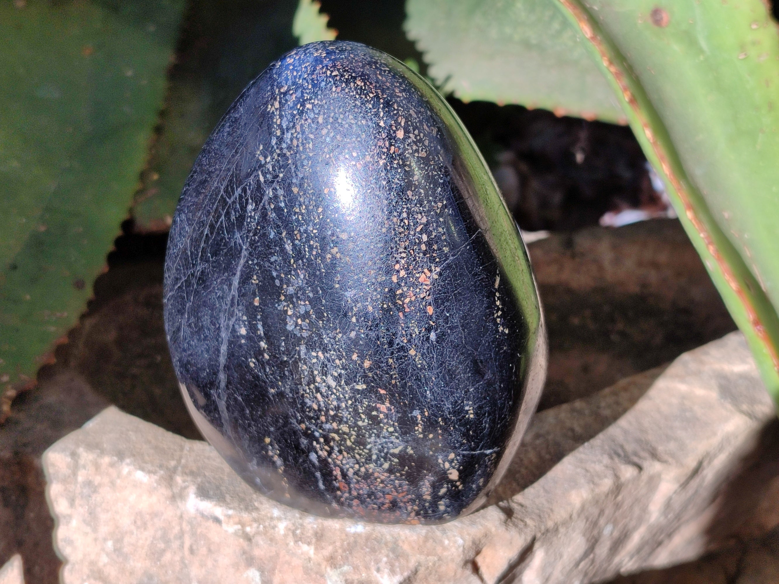 Polished Black Tourmaline Standing Free Form x 2 From Madagascar - Toprock Gemstones and Minerals 