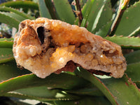 Natural Limonite Quartz Clusters x 4 From Solwezi, Zambia - Toprock Gemstones and Minerals 