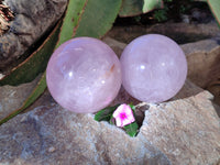 Polished Star Rose Quartz Spheres x 2 From Ambatondrazaka, Madagascar - Toprock Gemstones and Minerals 
