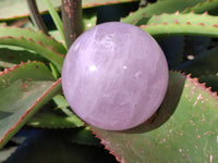 Polished Star Rose Quartz Spheres x 2 From Ambatondrazaka, Madagascar - Toprock Gemstones and Minerals 