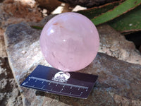Polished Star Rose Quartz Spheres x 2 From Ambatondrazaka, Madagascar - Toprock Gemstones and Minerals 