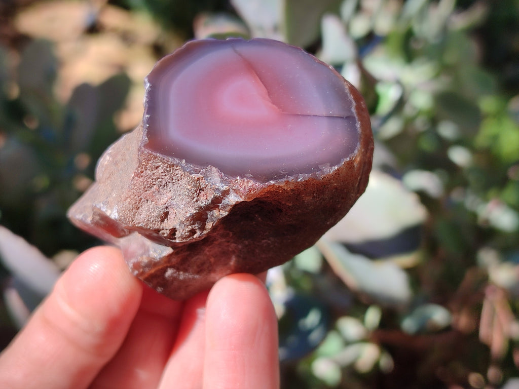 Polished On One Side Red Sashe River Agate Nodules x 12 From Zimbabwe - Toprock Gemstones and Minerals 