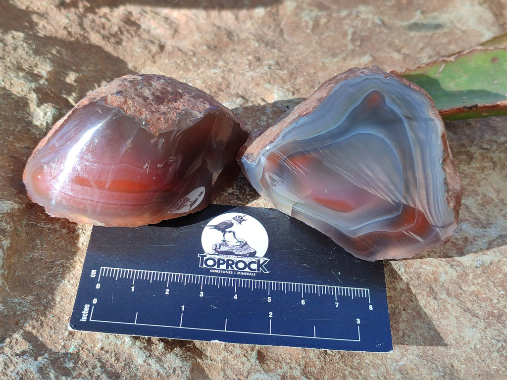 Polished On One Side Red Sashe River Agate Nodules x 12 From Zimbabwe - Toprock Gemstones and Minerals 