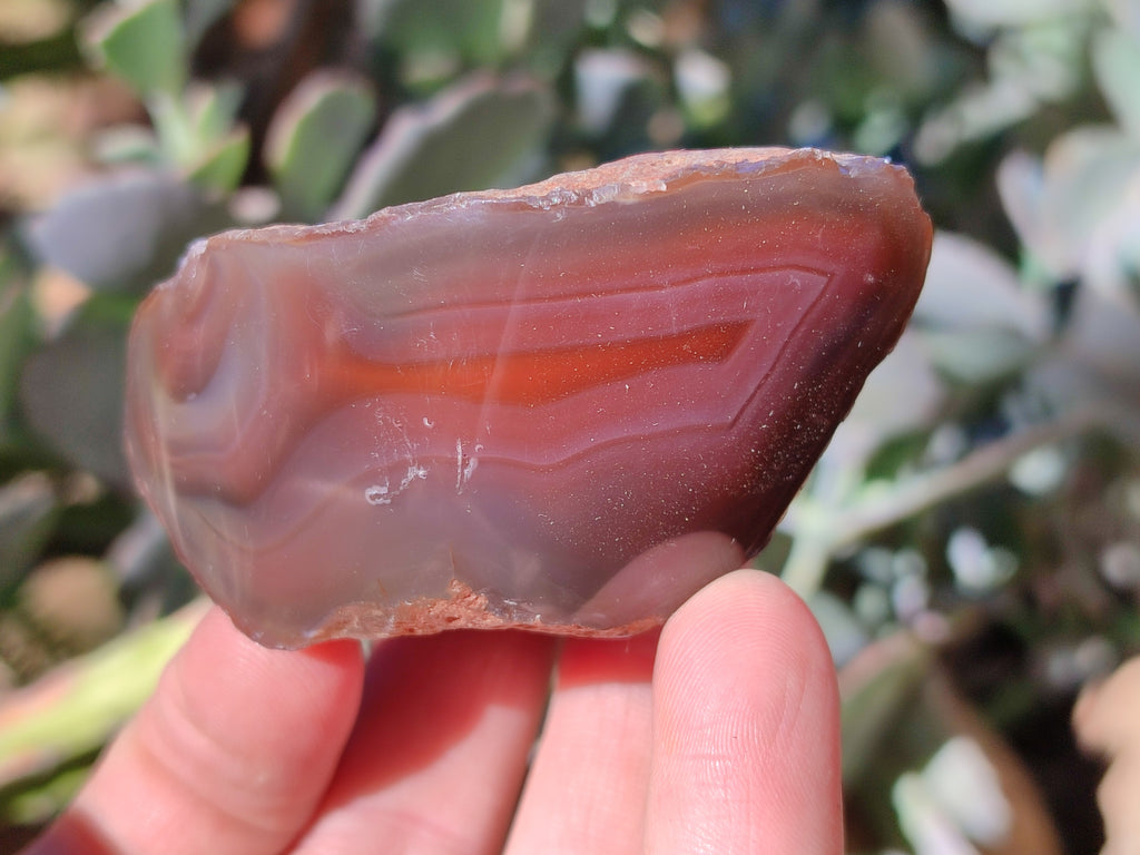 Polished On One Side Red Sashe River Agate Nodules x 12 From Zimbabwe - Toprock Gemstones and Minerals 