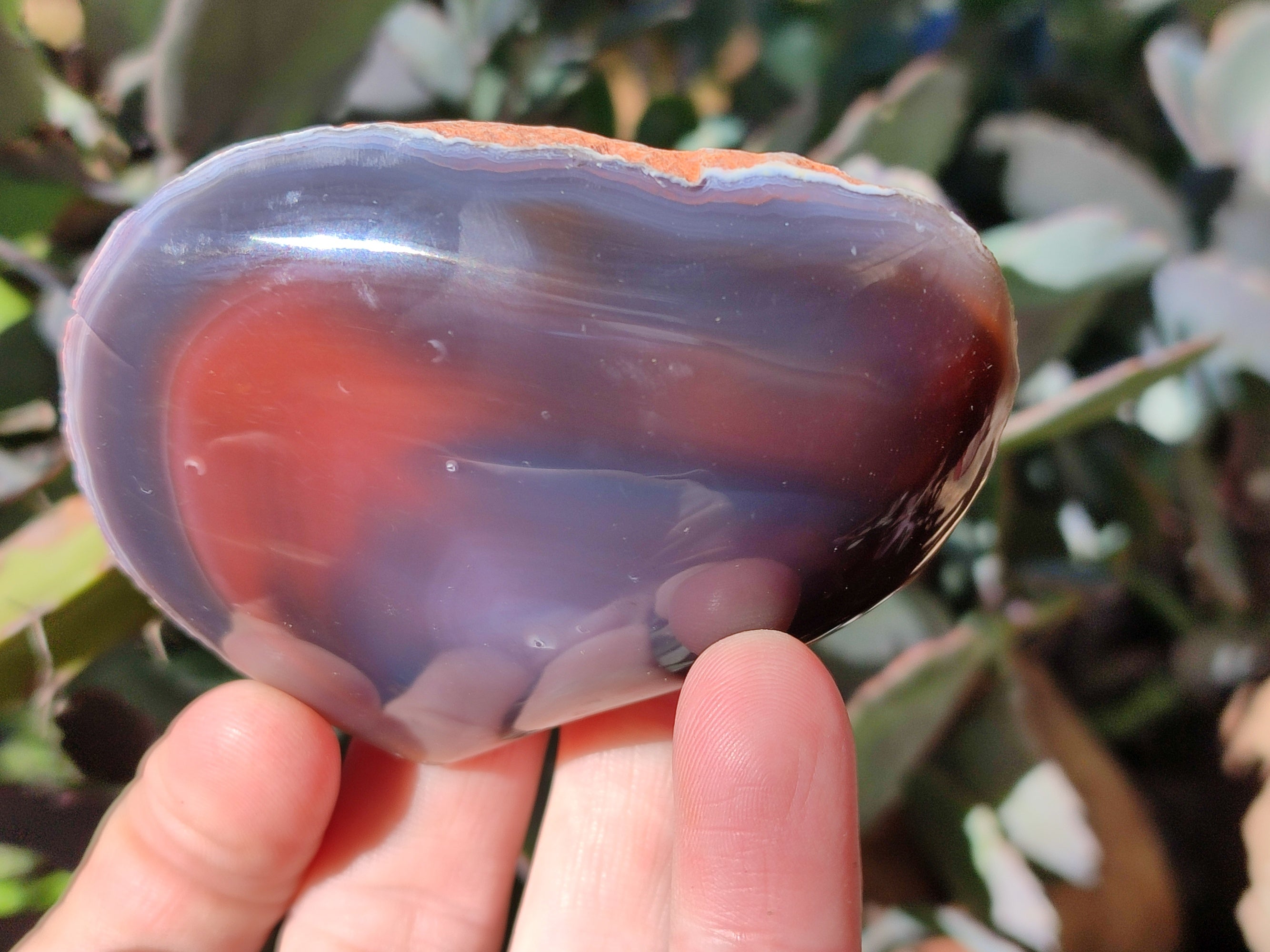 Polished On One Side Red Sashe River Agate Nodules x 12 From Zimbabwe - Toprock Gemstones and Minerals 
