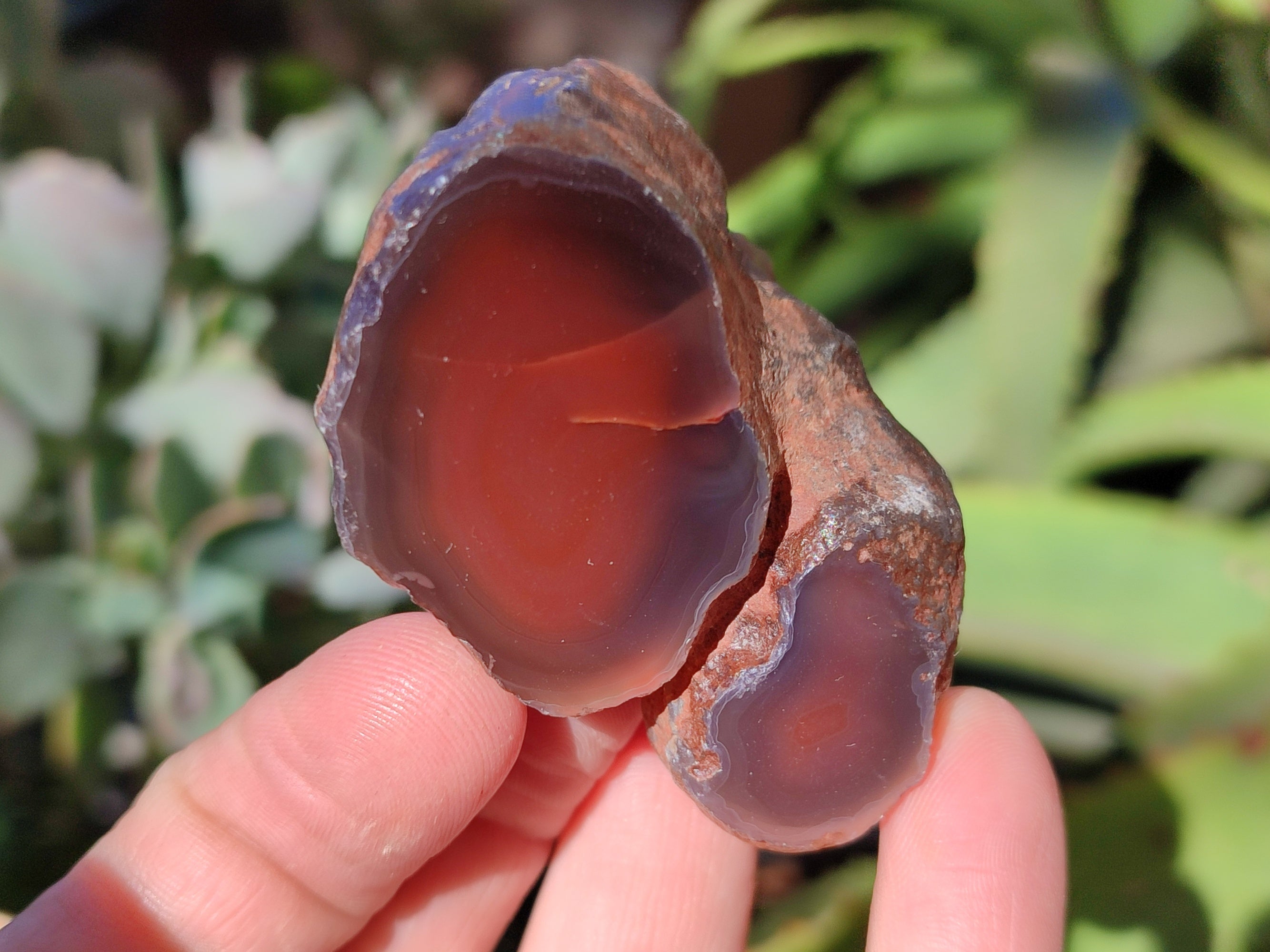 Polished On One Side Red Sashe River Agate Nodules x 12 From Zimbabwe - Toprock Gemstones and Minerals 