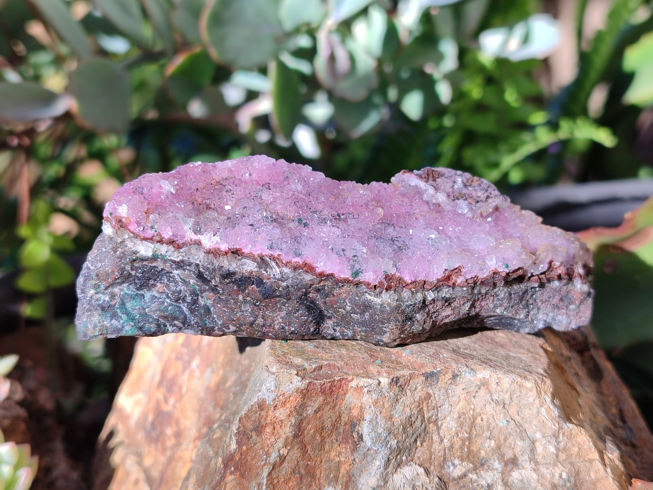 Natural Drusy Salrose with Malachite x 6 From Kakanda, Congo - Toprock Gemstones and Minerals 