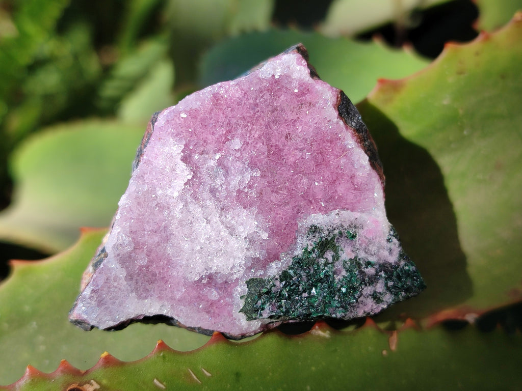 Natural Drusy Salrose with Malachite x 6 From Kakanda, Congo - Toprock Gemstones and Minerals 