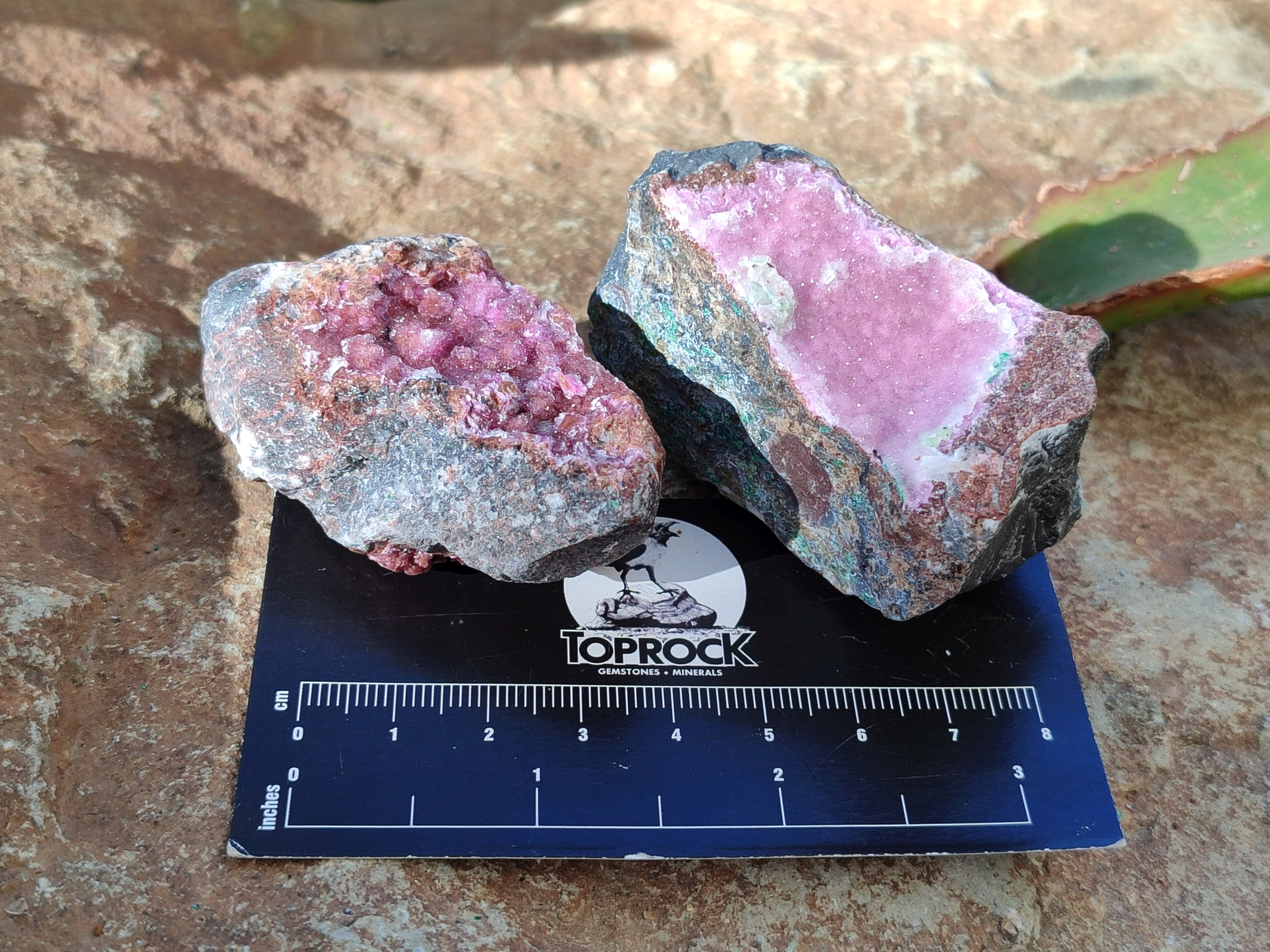 Natural Drusy Salrose with Malachite x 6 From Kakanda, Congo - Toprock Gemstones and Minerals 