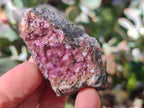 Natural Drusy Salrose with Malachite x 6 From Kakanda, Congo - Toprock Gemstones and Minerals 