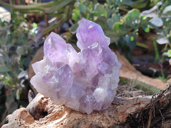 Natural Jacaranda Amethyst Quartz Cluster x 3 From Mumbwa, Zambia