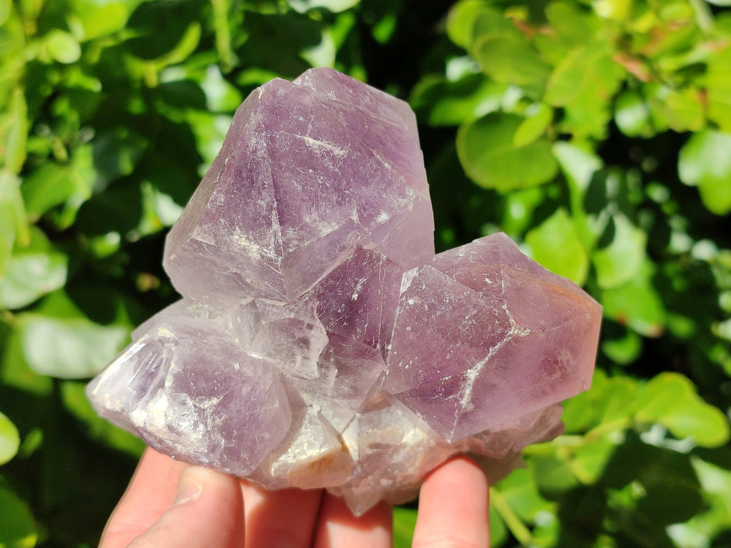 Natural Jacaranda Amethyst Quartz Cluster x 3 From Mumbwa, Zambia - Toprock Gemstones and Minerals 