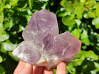 Natural Jacaranda Amethyst Quartz Cluster x 3 From Mumbwa, Zambia - Toprock Gemstones and Minerals 