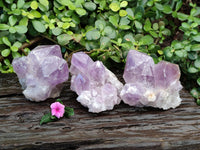 Natural Jacaranda Amethyst Quartz Cluster x 3 From Mumbwa, Zambia - Toprock Gemstones and Minerals 