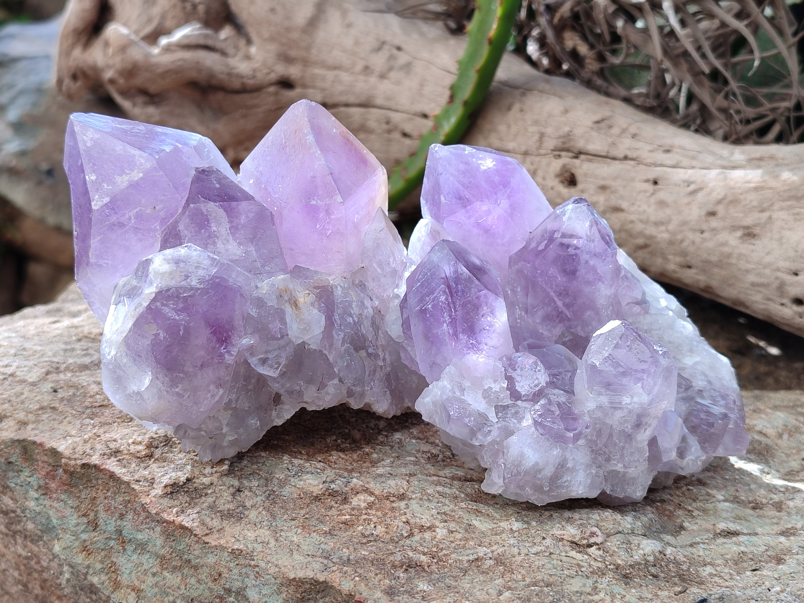 Natural Jacaranda Amethyst Quartz Cluster x 3 From Mumbwa, Zambia - Toprock Gemstones and Minerals 