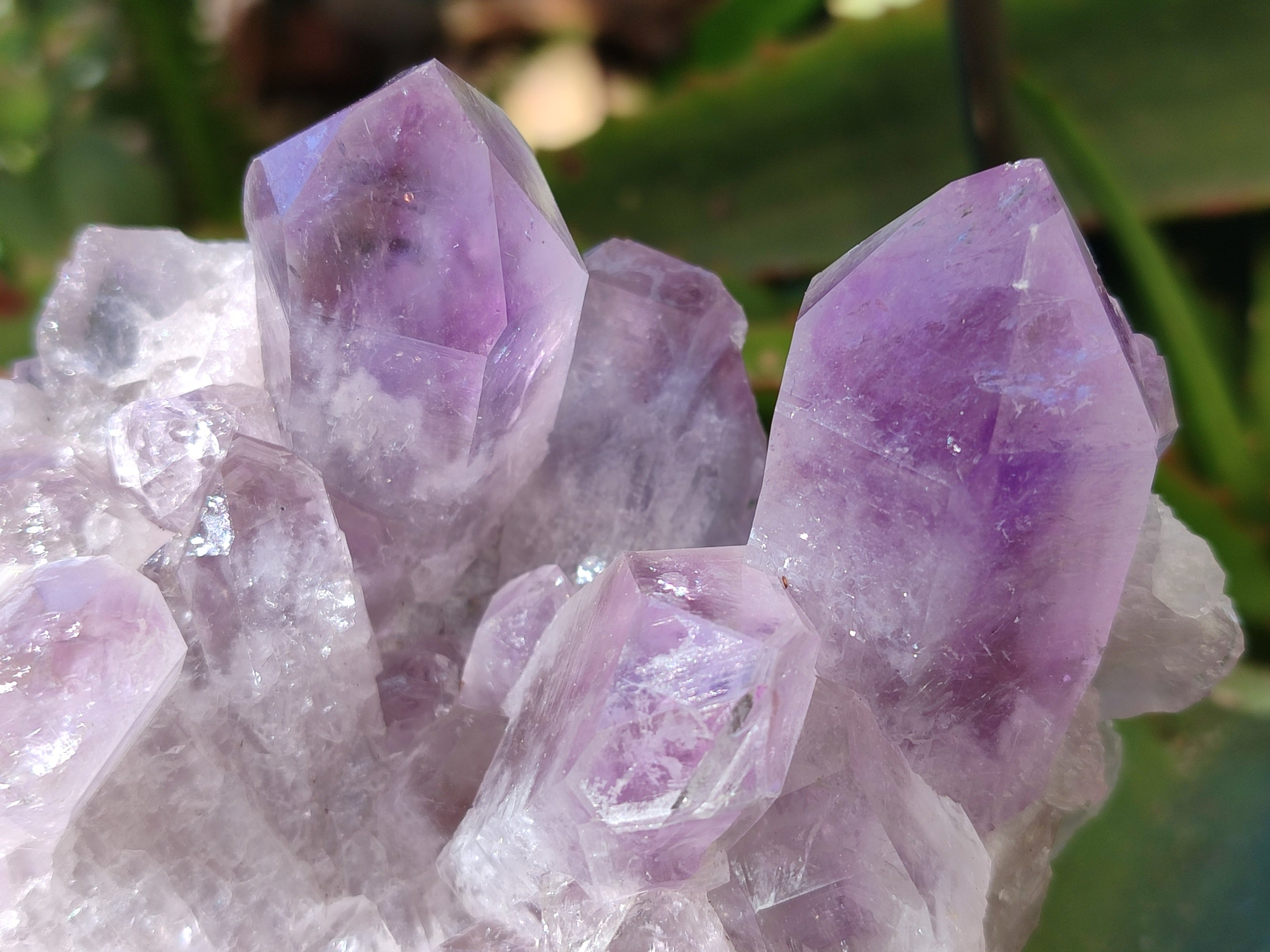 Natural Jacaranda Amethyst Quartz Cluster x 3 From Mumbwa, Zambia - Toprock Gemstones and Minerals 