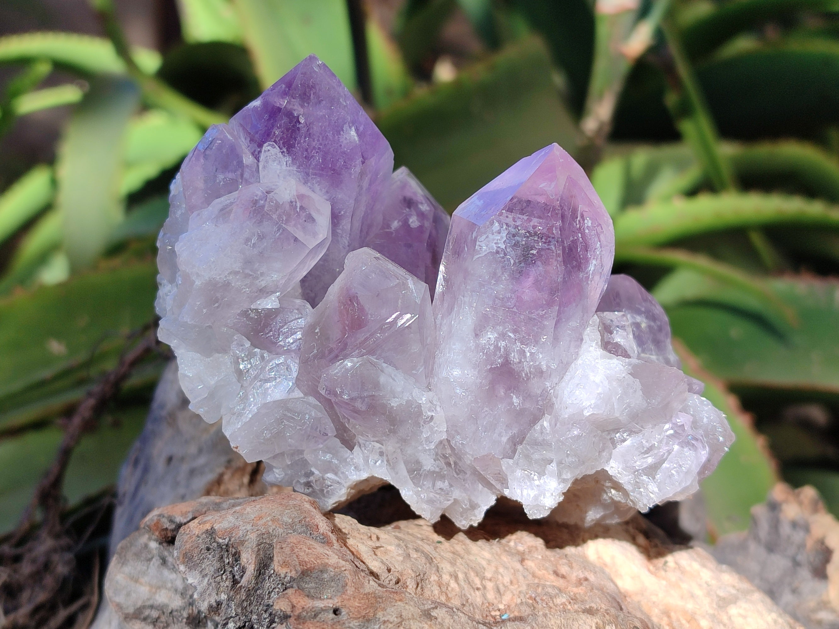 Natural Jacaranda Amethyst Quartz Cluster x 3 From Mumbwa, Zambia - Toprock Gemstones and Minerals 