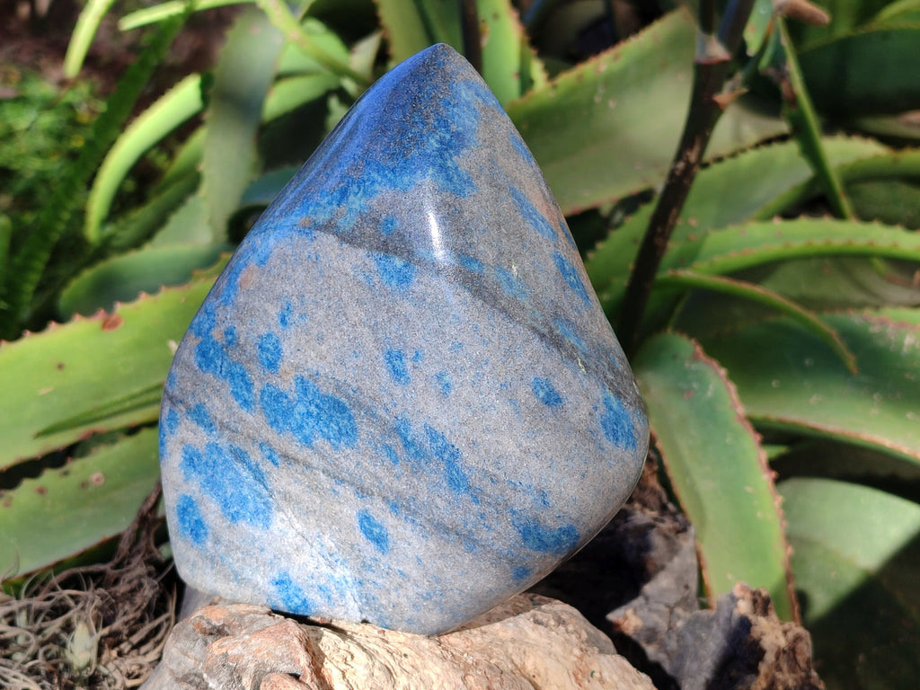 Polished Blue Spinel Spotted Quartz Leaf Sculpture x 2 From Madagascar - Toprock Gemstones and Minerals 