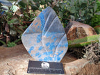 Polished Blue Spinel Spotted Quartz Leaf Sculpture x 2 From Madagascar - Toprock Gemstones and Minerals 