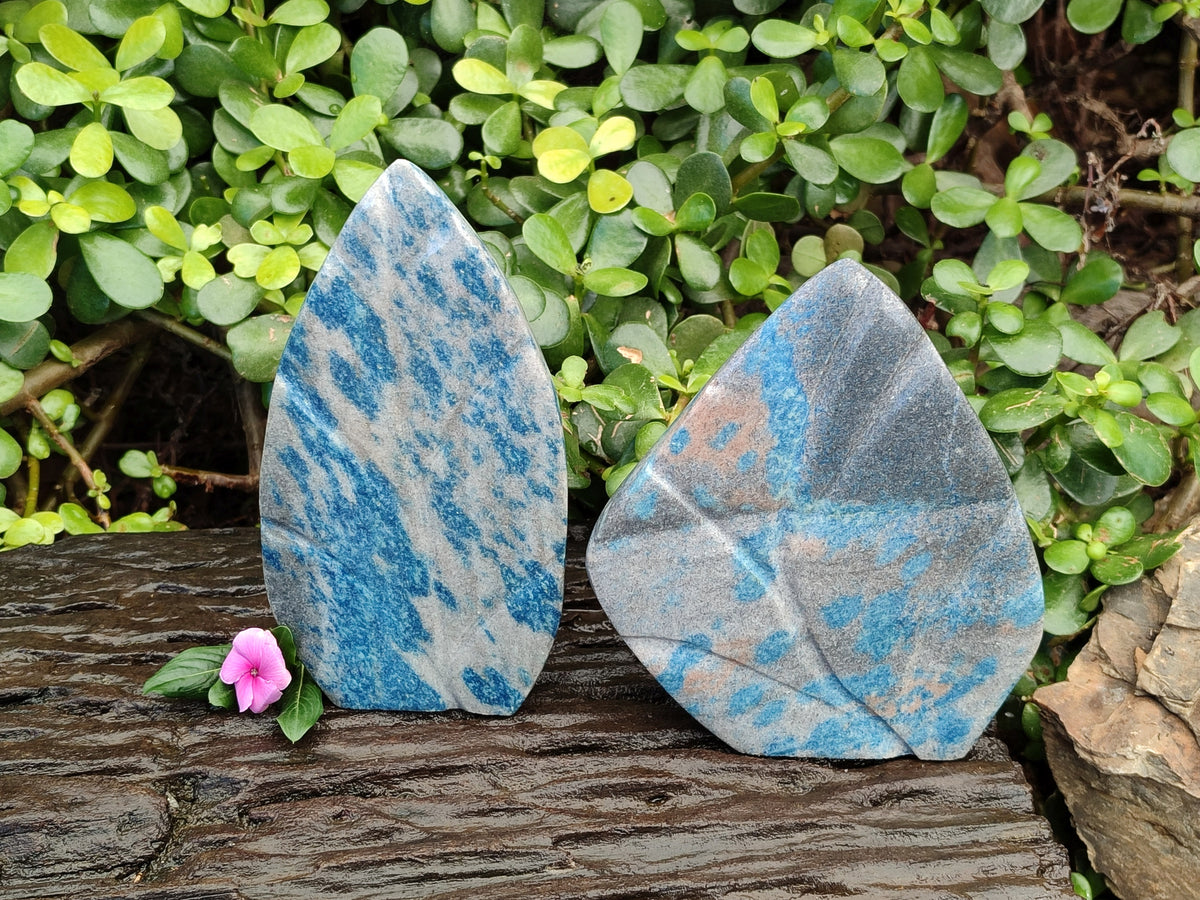 Polished Blue Spinel Spotted Quartz Leaf Sculpture x 2 From Madagascar - Toprock Gemstones and Minerals 