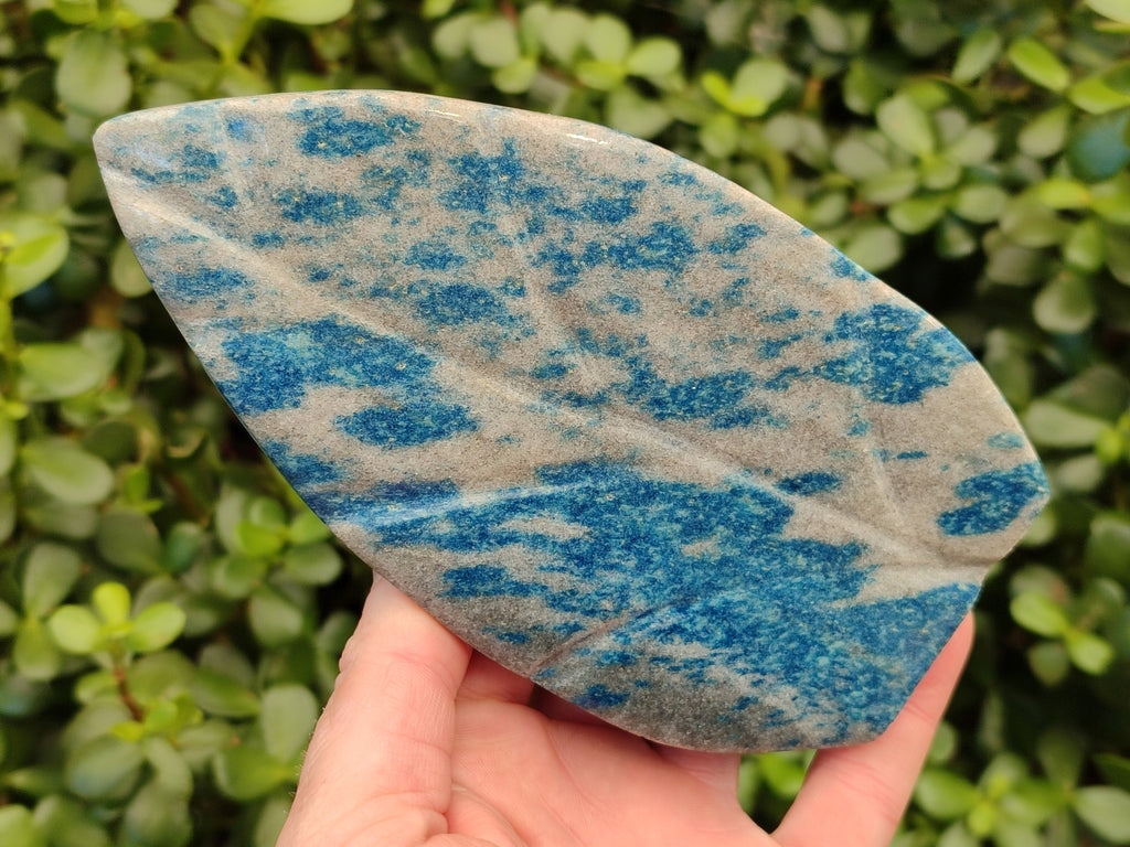 Polished Blue Spinel Spotted Quartz Leaf Sculpture x 2 From Madagascar - Toprock Gemstones and Minerals 