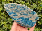 Polished Blue Spinel Spotted Quartz Leaf Sculpture x 2 From Madagascar - Toprock Gemstones and Minerals 