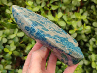 Polished Blue Spinel Spotted Quartz Leaf Sculpture x 2 From Madagascar