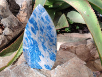 Polished Blue Spinel Spotted Quartz Leaf Sculpture x 2 From Madagascar
